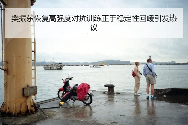 樊振东恢复高强度对抗训练正手稳定性回暖引发热议