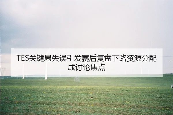TES关键局失误引发赛后复盘下路资源分配成讨论焦点